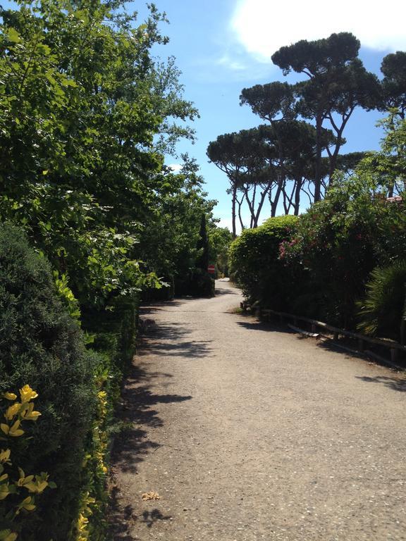 Camping Paradiso Viareggio Luaran gambar