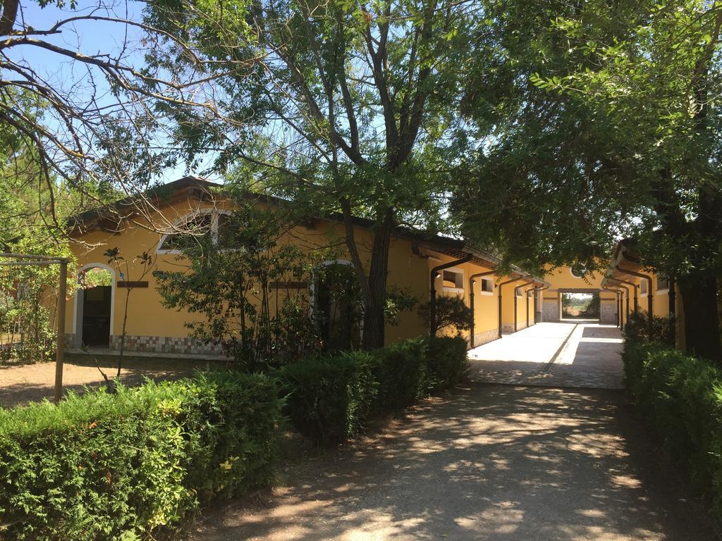 Camping Paradiso Viareggio Luaran gambar