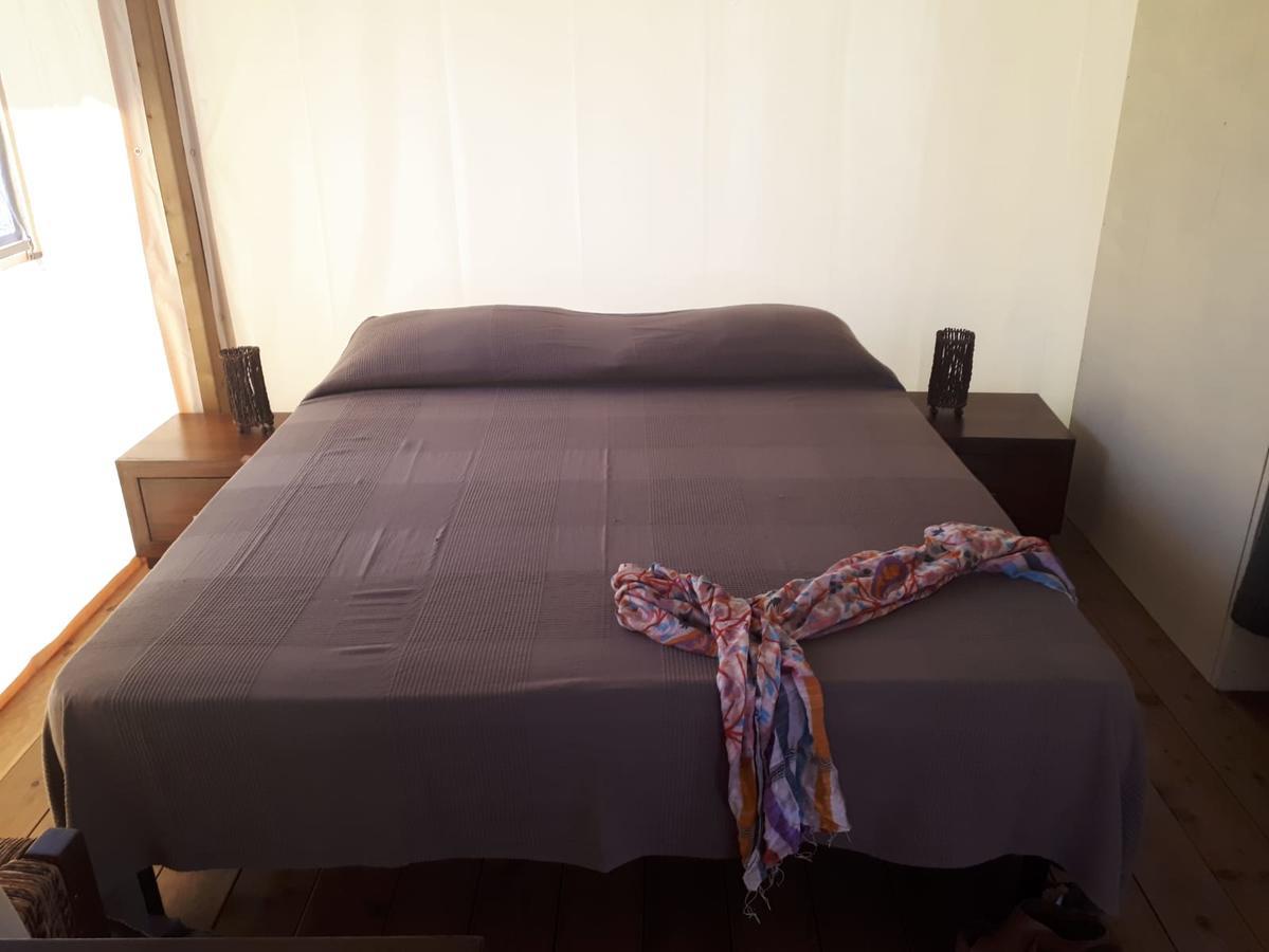 Camping Paradiso Viareggio Luaran gambar